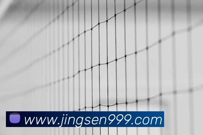 数据防护可视化